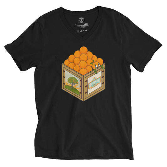 The Orange Tee (V-Neck)