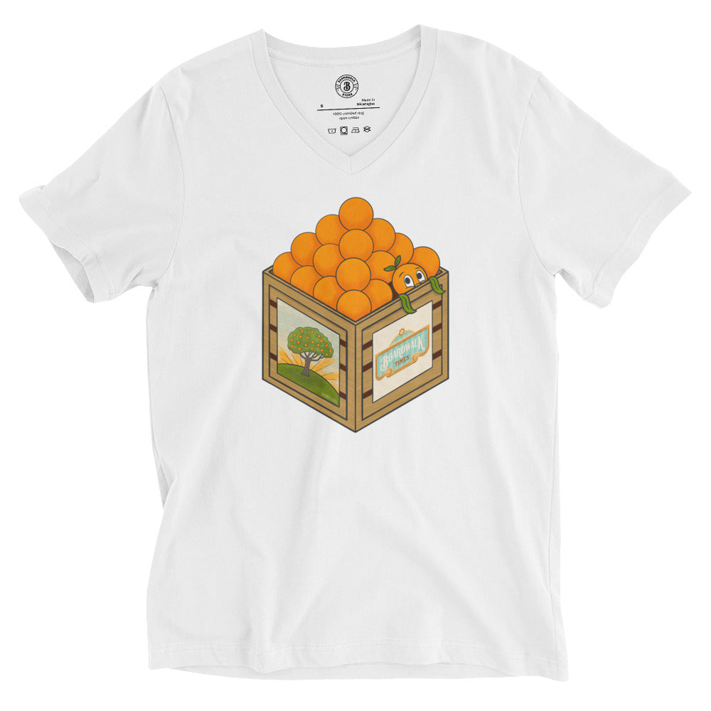 The Orange Tee (V-Neck)